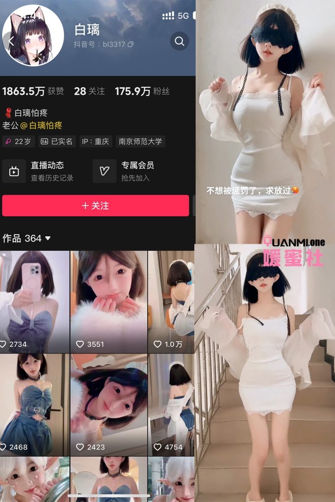 BL-1 拷贝