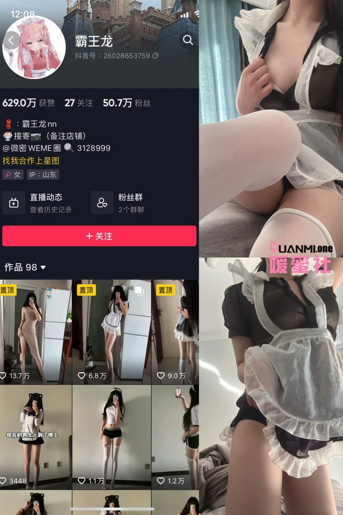 BWL-1 拷贝