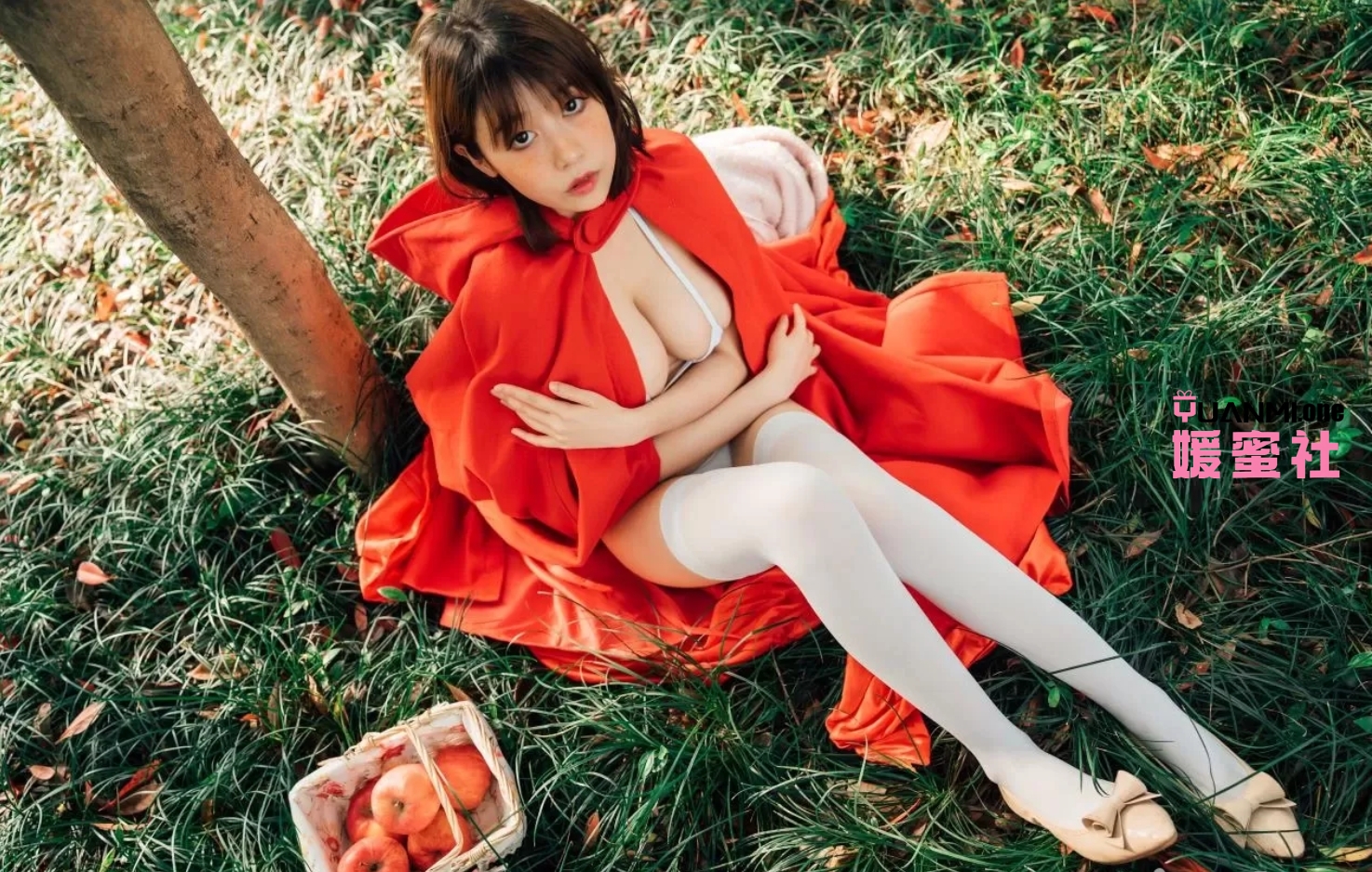奈汐酱Nice/奈夕酱美女写真图集合集打包下载+持续下载-媛蜜社