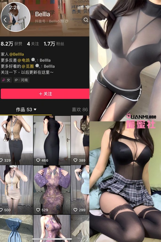 BELLA-2 拷贝