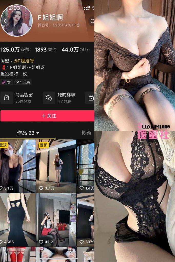 FJJ-3 拷贝