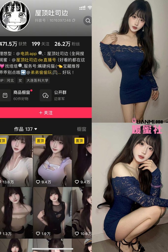 WDTBSS-1 拷贝